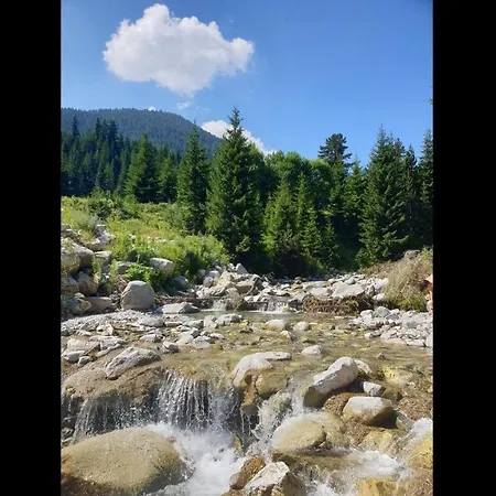 Three-bedroom In The Beautiful Pinerose * Bansko